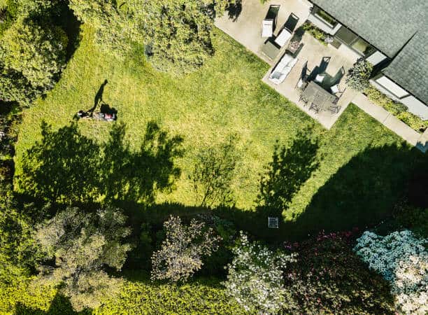 Landscaping and tree work in Austin
