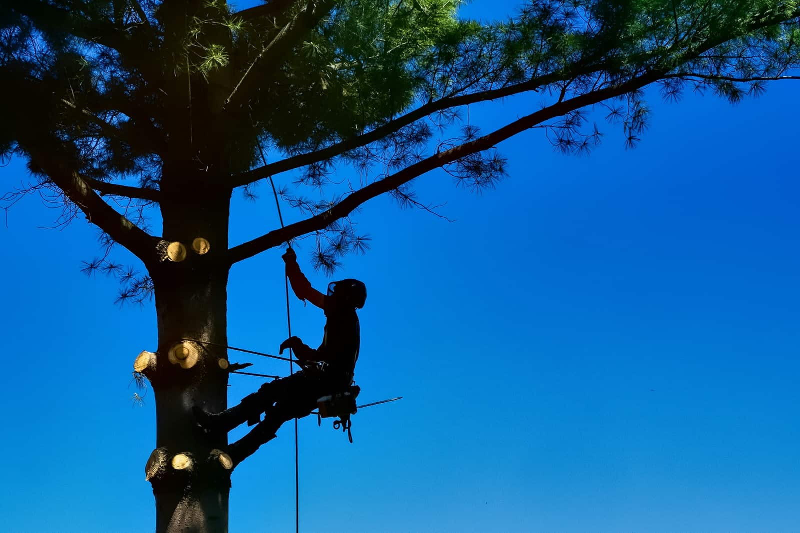 Sprinkler Repair in Austin