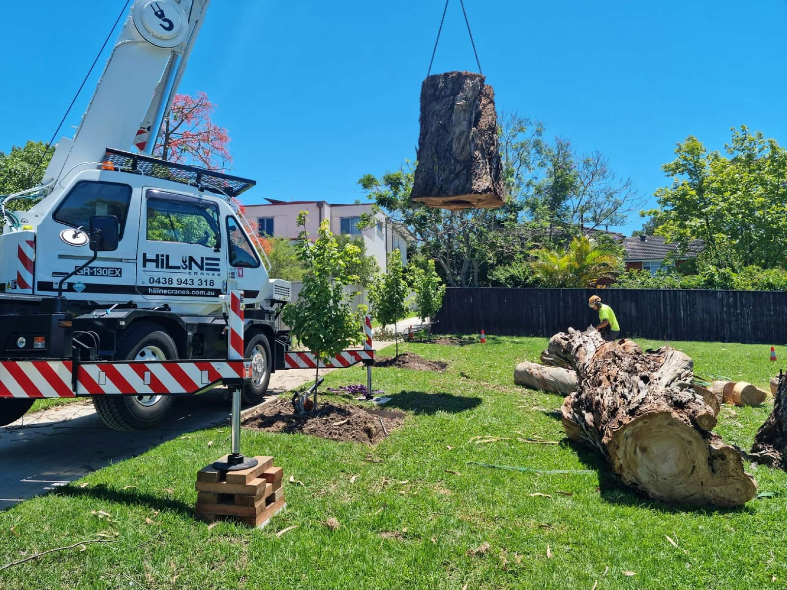 Stump Grinding in Austin