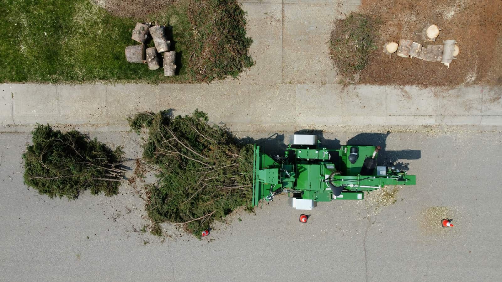 Yard Clean Up in Austin